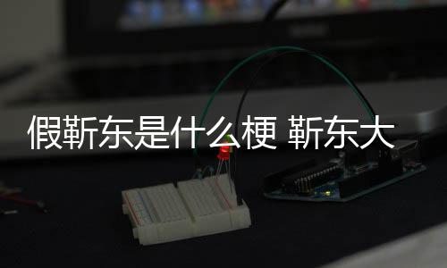 被骗东是大妈假靳靳东进展最新梗 消息粉丝什么事件始末