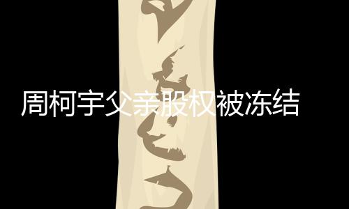 冻结简介宇父柯宇周柯 周资料亲股权被个人